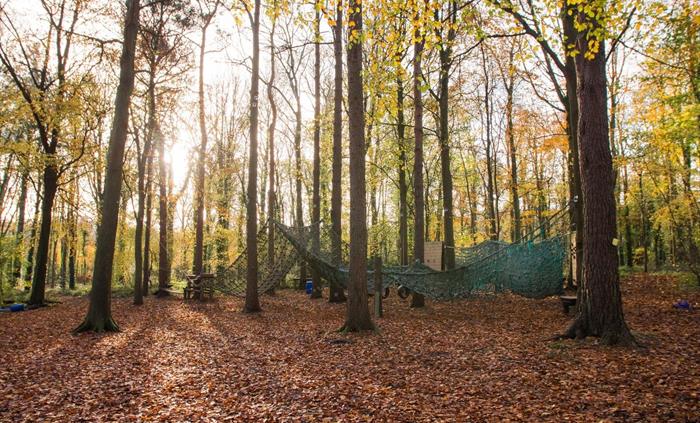 Low Ropes & High Ropes